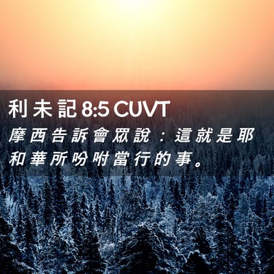Picture 02 - 利 未 記 8:5 CUVT - 摩 西 告 訴 會 眾 說 ： 這 就 是 耶 - Bible Verse Picture
