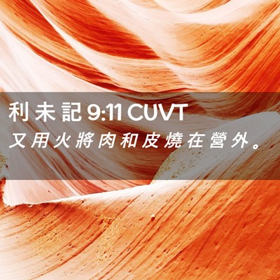 Picture 02 - 利 未 記 9:11 CUVT - 又 用 火 將 肉 和 皮 燒 在 營 外 - Bible Verse Picture
