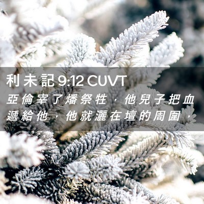 Picture 02 - 利 未 記 9:12 CUVT - 亞 倫 宰 了 燔 祭 牲 ， 他 兒 子 把 - Bible Verse Picture