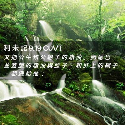 Picture 02 - 利 未 記 9:19 CUVT - 又 把 公 牛 和 公 綿 羊 的 脂 油 、 - Bible Verse Picture
