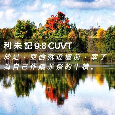 Picture 02 - 利 未 記 9:8 CUVT - 於 是 ， 亞 倫 就 近 壇 前 ， 宰 了 - Bible Verse Picture