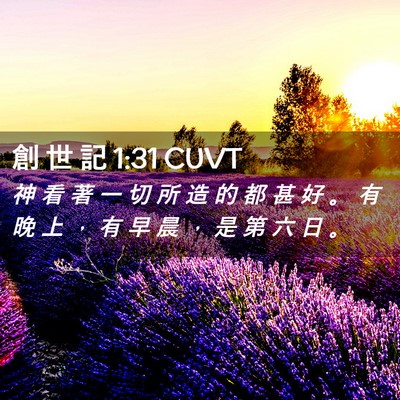 Picture 02 - 創 世 記 1:31 CUVT - 神 看 著 一 切 所 造 的 都 甚 好 。 - Bible Verse Picture