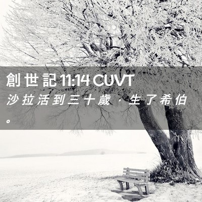 Picture 02 - 創 世 記 11:14 CUVT - 沙 拉 活 到 三 十 歲 ， 生 了 希 伯 - Bible Verse Picture