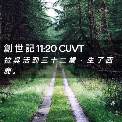Picture 02 - 創 世 記 11:20 CUVT - 拉 吳 活 到 三 十 二 歲 ， 生 了 西 - Bible Verse Picture