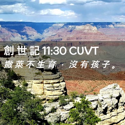 Picture 02 - 創 世 記 11:30 CUVT - 撒 萊 不 生 育 ， 沒 有 孩 子 - Bible Verse Picture
