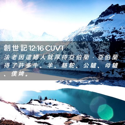 Picture 02 - 創 世 記 12:16 CUVT - 法 老 因 這 婦 人 就 厚 待 亞 伯 蘭 - Bible Verse Picture