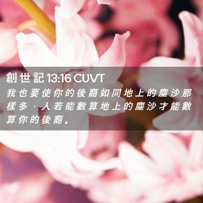 Picture 02 - 創 世 記 13:16 CUVT - 我 也 要 使 你 的 後 裔 如 同 地 上 - Bible Verse Picture