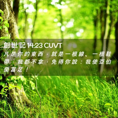 Picture 02 - 創 世 記 14:23 CUVT - 凡 是 你 的 東 西 ， 就 是 一 根 線 - Bible Verse Picture
