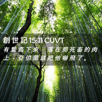 Picture 02 - 創 世 記 15:11 CUVT - 有 鷙 鳥 下 來 ， 落 在 那 死 畜 的 - Bible Verse Picture