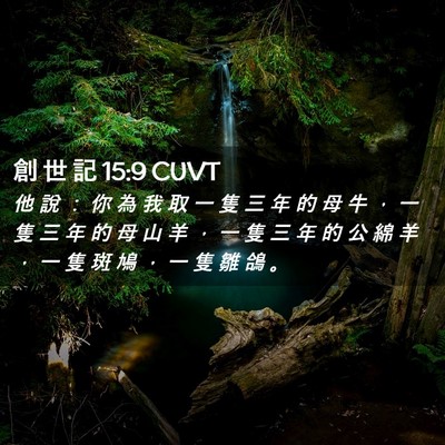 Picture 02 - 創 世 記 15:9 CUVT - 他 說 ： 你 為 我 取 一 隻 三 年 的 - Bible Verse Picture