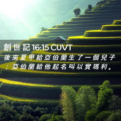Picture 02 - 創 世 記 16:15 CUVT - 後 來 夏 甲 給 亞 伯 蘭 生 了 一 個 - Bible Verse Picture