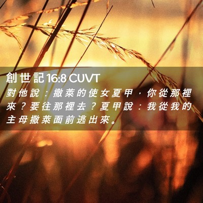 Picture 02 - 創 世 記 16:8 CUVT - 對 他 說 ： 撒 萊 的 使 女 夏 甲 ， - Bible Verse Picture