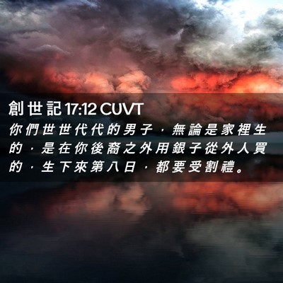 Picture 02 - 創 世 記 17:12 CUVT - 你 們 世 世 代 代 的 男 子 ， 無 論 - Bible Verse Picture