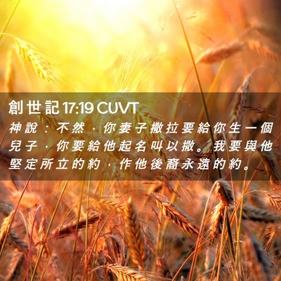 Picture 02 - 創 世 記 17:19 CUVT - 神 說 ： 不 然 ， 你 妻 子 撒 拉 要 - Bible Verse Picture