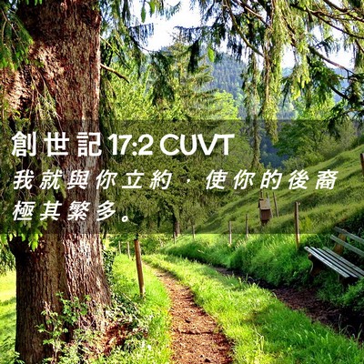 Picture 02 - 創 世 記 17:2 CUVT - 我 就 與 你 立 約 ， 使 你 的 後 裔 - Bible Verse Picture