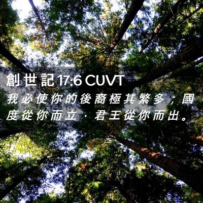 Picture 02 - 創 世 記 17:6 CUVT - 我 必 使 你 的 後 裔 極 其 繁 多 ； - Bible Verse Picture