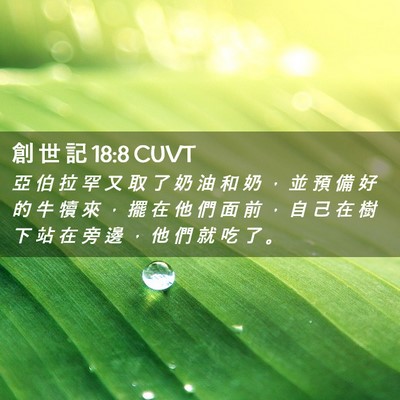Picture 02 - 創 世 記 18:8 CUVT - 亞 伯 拉 罕 又 取 了 奶 油 和 奶 ， - Bible Verse Picture