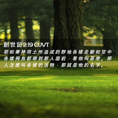 Picture 02 - 創 世 記 2:19 CUVT - 耶 和 華 神 用 土 所 造 成 的 野 地 - Bible Verse Picture