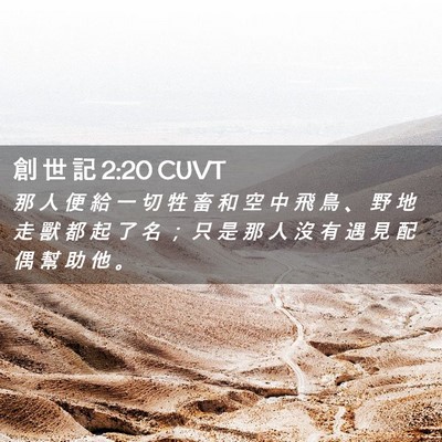 Picture 02 - 創 世 記 2:20 CUVT - 那 人 便 給 一 切 牲 畜 和 空 中 飛 - Bible Verse Picture