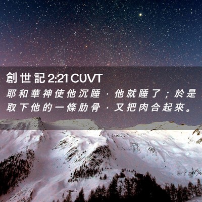 Picture 02 - 創 世 記 2:21 CUVT - 耶 和 華 神 使 他 沉 睡 ， 他 就 睡 - Bible Verse Picture