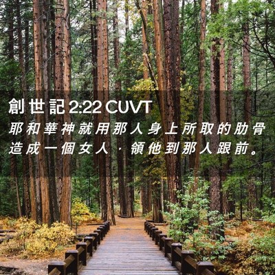 Picture 02 - 創 世 記 2:22 CUVT - 耶 和 華 神 就 用 那 人 身 上 所 取 - Bible Verse Picture