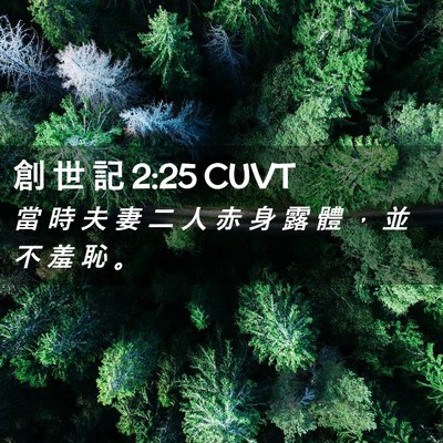 Picture 02 - 創 世 記 2:25 CUVT - 當 時 夫 妻 二 人 赤 身 露 體 ， 並 - Bible Verse Picture