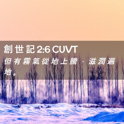 Picture 02 - 創 世 記 2:6 CUVT - 但 有 霧 氣 從 地 上 騰 ， 滋 潤 遍 - Bible Verse Picture
