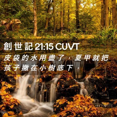 Picture 02 - 創 世 記 21:15 CUVT - 皮 袋 的 水 用 盡 了 ， 夏 甲 就 把 - Bible Verse Picture