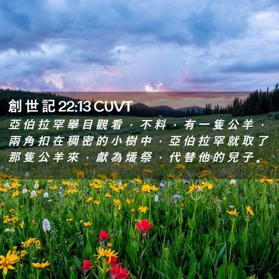 Picture 02 - 創 世 記 22:13 CUVT - 亞 伯 拉 罕 舉 目 觀 看 ， 不 料 ， - Bible Verse Picture
