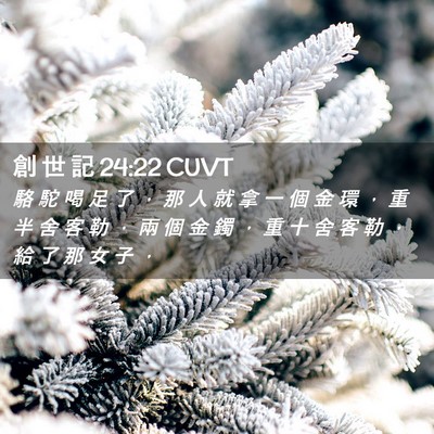 Picture 02 - 創 世 記 24:22 CUVT - 駱 駝 喝 足 了 ， 那 人 就 拿 一 個 - Bible Verse Picture