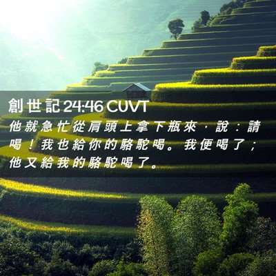 Picture 02 - 創 世 記 24:46 CUVT - 他 就 急 忙 從 肩 頭 上 拿 下 瓶 來 - Bible Verse Picture