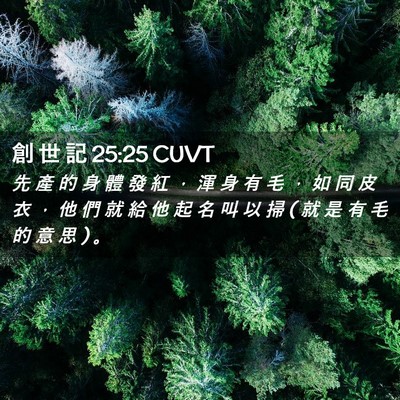 Picture 02 - 創 世 記 25:25 CUVT - 先 產 的 身 體 發 紅 ， 渾 身 有 毛 - Bible Verse Picture
