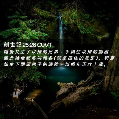 Picture 02 - 創 世 記 25:26 CUVT - 隨 後 又 生 了 以 掃 的 兄 弟 ， 手 - Bible Verse Picture