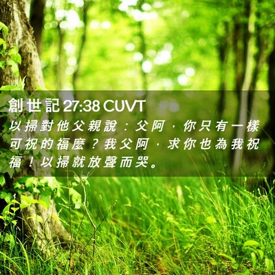Picture 02 - 創 世 記 27:38 CUVT - 以 掃 對 他 父 親 說 ： 父 阿 ， 你 - Bible Verse Picture