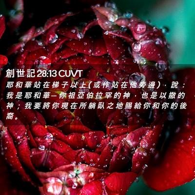 Picture 02 - 創 世 記 28:13 CUVT - 耶 和 華 站 在 梯 子 以 上 ( 或 作 站 - Bible Verse Picture