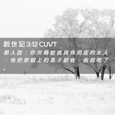 Picture 02 - 創 世 記 3:12 CUVT - 那 人 說 ： 你 所 賜 給 我 與 我 同 - Bible Verse Picture