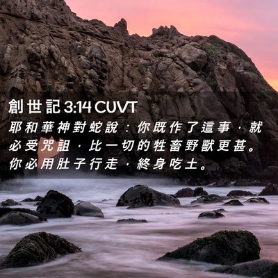Picture 02 - 創 世 記 3:14 CUVT - 耶 和 華 神 對 蛇 說 ： 你 既 作 了 - Bible Verse Picture