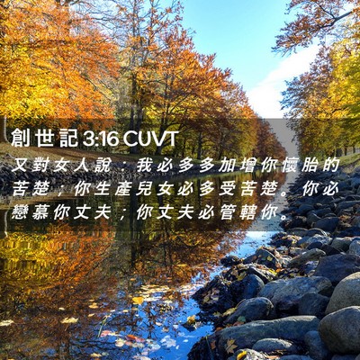 Picture 02 - 創 世 記 3:16 CUVT - 又 對 女 人 說 ： 我 必 多 多 加 增 - Bible Verse Picture