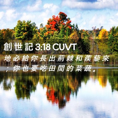 Picture 02 - 創 世 記 3:18 CUVT - 地 必 給 你 長 出 荊 棘 和 蒺 藜 來 - Bible Verse Picture
