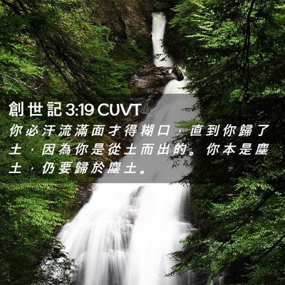 Picture 02 - 創 世 記 3:19 CUVT - 你 必 汗 流 滿 面 才 得 糊 口 ， 直 - Bible Verse Picture