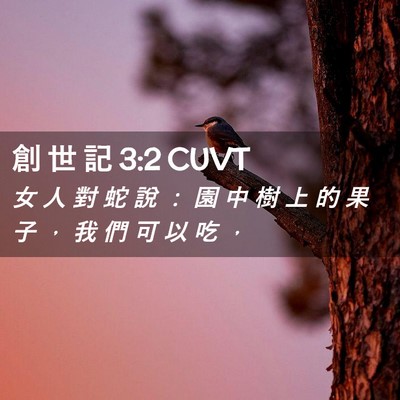 Picture 02 - 創 世 記 3:2 CUVT - 女 人 對 蛇 說 ： 園 中 樹 上 的 果 - Bible Verse Picture