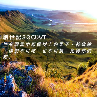 Picture 02 - 創 世 記 3:3 CUVT - 惟 有 園 當 中 那 棵 樹 上 的 果 子 - Bible Verse Picture