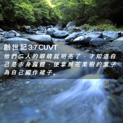 Picture 02 - 創 世 記 3:7 CUVT - 他 們 二 人 的 眼 睛 就 明 亮 了 ， - Bible Verse Picture
