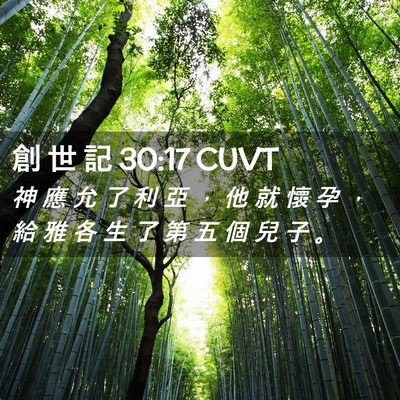 Picture 02 - 創 世 記 30:17 CUVT - 神 應 允 了 利 亞 ， 他 就 懷 孕 ， - Bible Verse Picture