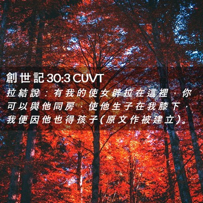 Picture 02 - 創 世 記 30:3 CUVT - 拉 結 說 ： 有 我 的 使 女 辟 拉 在 - Bible Verse Picture