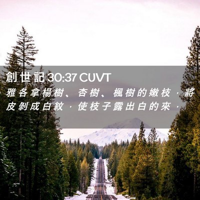 Picture 02 - 創 世 記 30:37 CUVT - 雅 各 拿 楊 樹 、 杏 樹 、 楓 樹 的 - Bible Verse Picture
