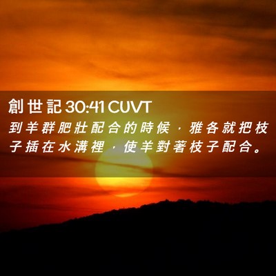 Picture 02 - 創 世 記 30:41 CUVT - 到 羊 群 肥 壯 配 合 的 時 候 ， 雅 - Bible Verse Picture