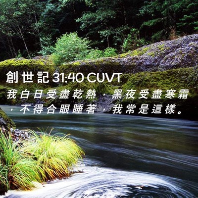 Picture 02 - 創 世 記 31:40 CUVT - 我 白 日 受 盡 乾 熱 ， 黑 夜 受 盡 - Bible Verse Picture