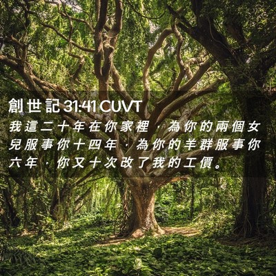 Picture 02 - 創 世 記 31:41 CUVT - 我 這 二 十 年 在 你 家 裡 ， 為 你 - Bible Verse Picture