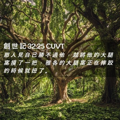 Picture 02 - 創 世 記 32:25 CUVT - 那 人 見 自 己 勝 不 過 他 ， 就 將 - Bible Verse Picture